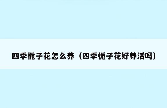 四季栀子花怎么养(四季栀子花好养活吗)