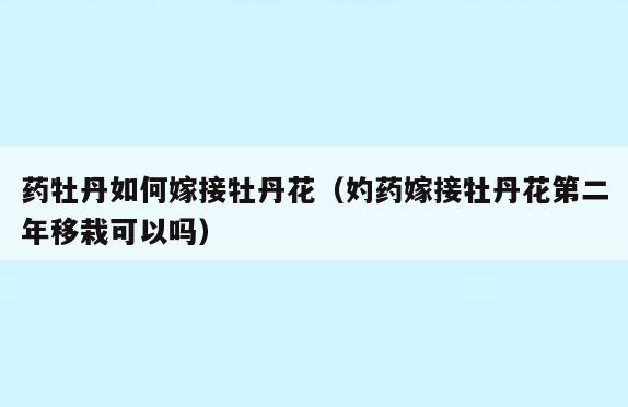 药牡丹如何嫁接牡丹花(妁药嫁接牡丹花第二年移栽可以吗)
