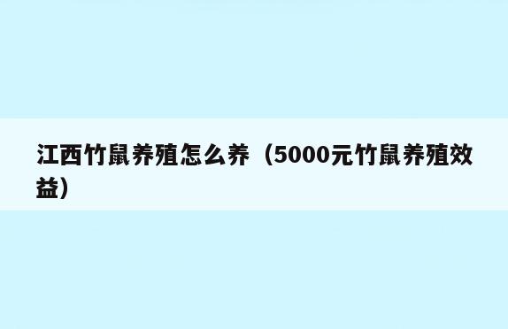 江西竹鼠养殖怎么养(5000元竹鼠养殖效益)