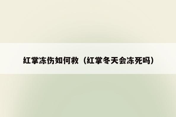 红掌冻伤如何救(红掌冬天会冻死吗)
