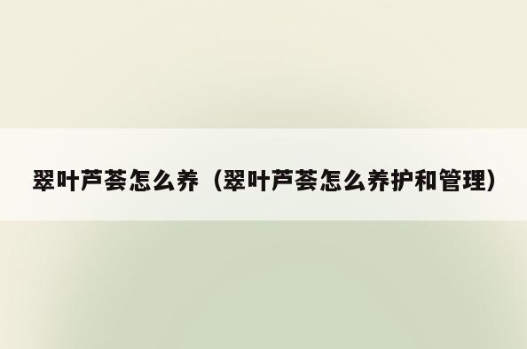 翠叶芦荟怎么养(翠叶芦荟怎么养护和管理)
