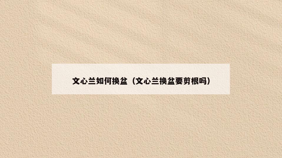 文心兰如何换盆(文心兰换盆要剪根吗)