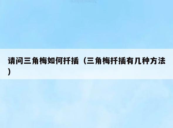 请问三角梅如何扦插(三角梅扦插有几种方法)
