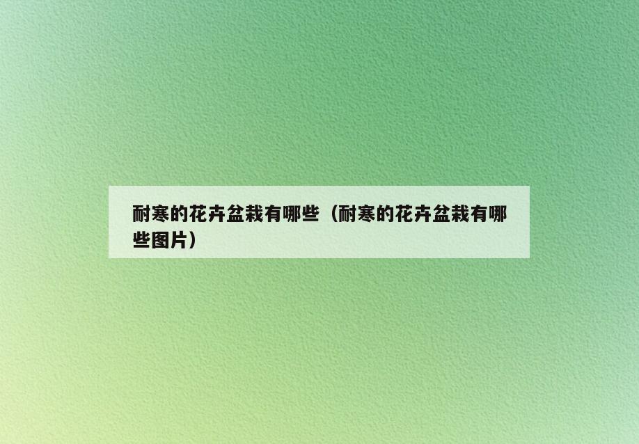 耐寒的花卉盆栽有哪些(耐寒的花卉盆栽有哪些图片)