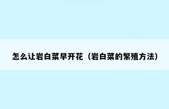 怎么让岩白菜早开花(岩白菜的繁殖方法)