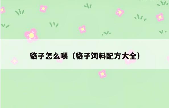 貉子怎么喂(貉子饲料配方大全)