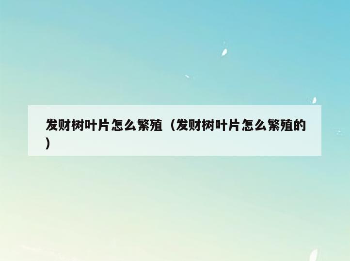 发财树叶片怎么繁殖(发财树叶片怎么繁殖的)