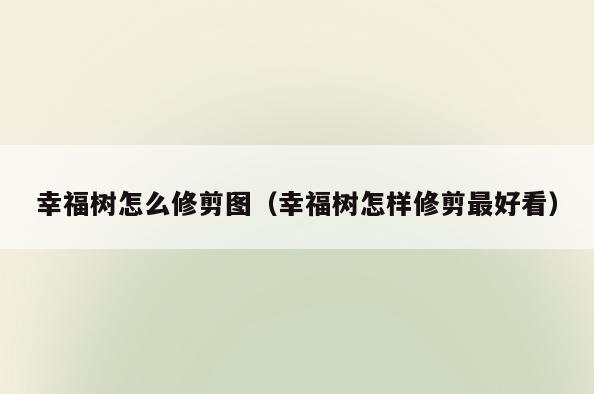 幸福树怎么修剪图(幸福树怎样修剪最好看)