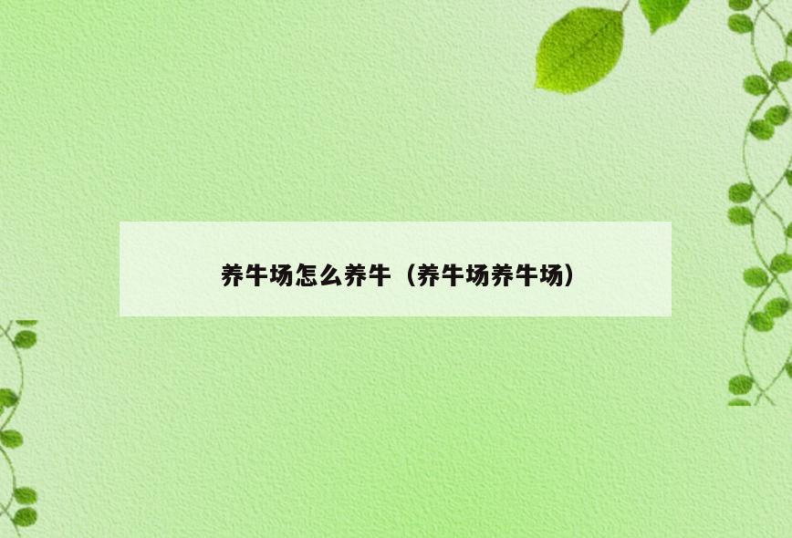 养牛场怎么养牛(养牛场养牛场)