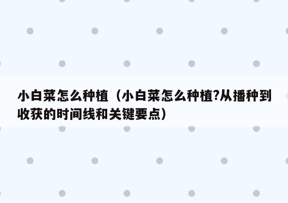小白菜怎么种植(小白菜怎么种植?从播种到收获的时间线和关键要点)