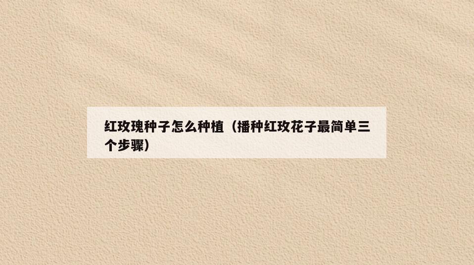 红玫瑰种子怎么种植(播种红玫花子最简单三个步骤)