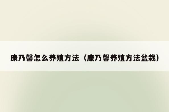 康乃馨怎么养殖方法(康乃馨养殖方法盆栽)