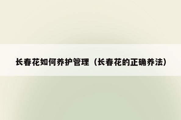 长春花如何养护管理(长春花的正确养法)