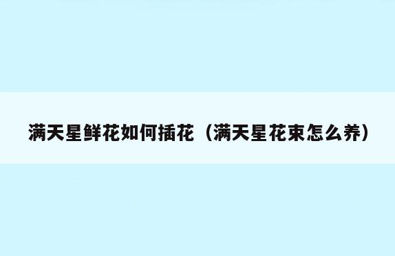 满天星鲜花如何插花(满天星花束怎么养)