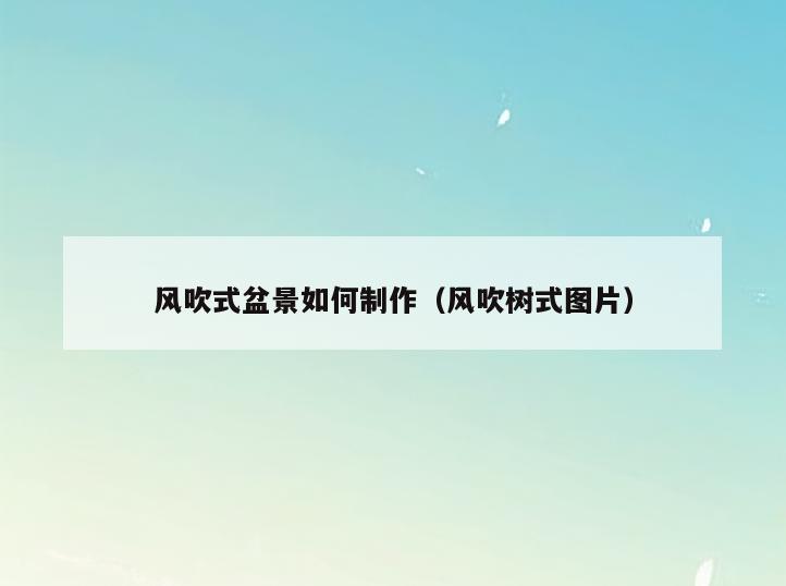 风吹式盆景如何制作(风吹树式图片)