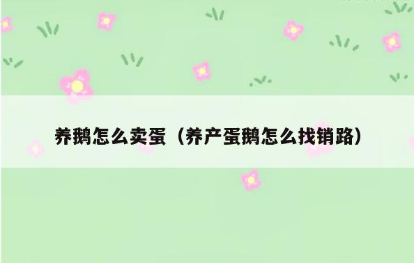 养鹅怎么卖蛋(养产蛋鹅怎么找销路)
