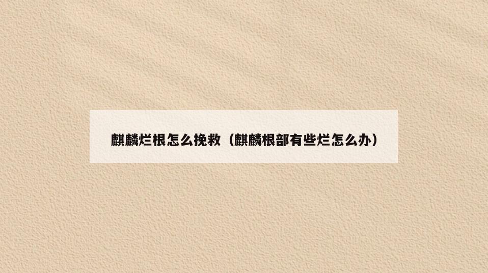麒麟烂根怎么挽救(麒麟根部有些烂怎么办)