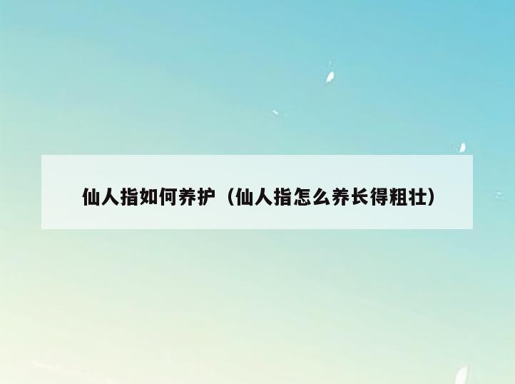 仙人指如何养护(仙人指怎么养长得粗壮)