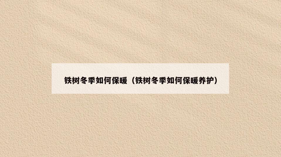 铁树冬季如何保暖(铁树冬季如何保暖养护)