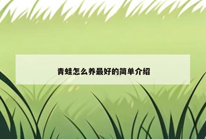 青蛙怎么养最好的简单介绍