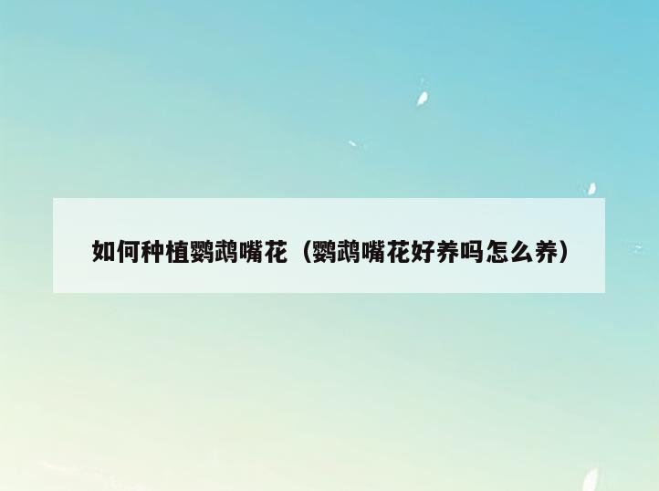 如何种植鹦鹉嘴花(鹦鹉嘴花好养吗怎么养)