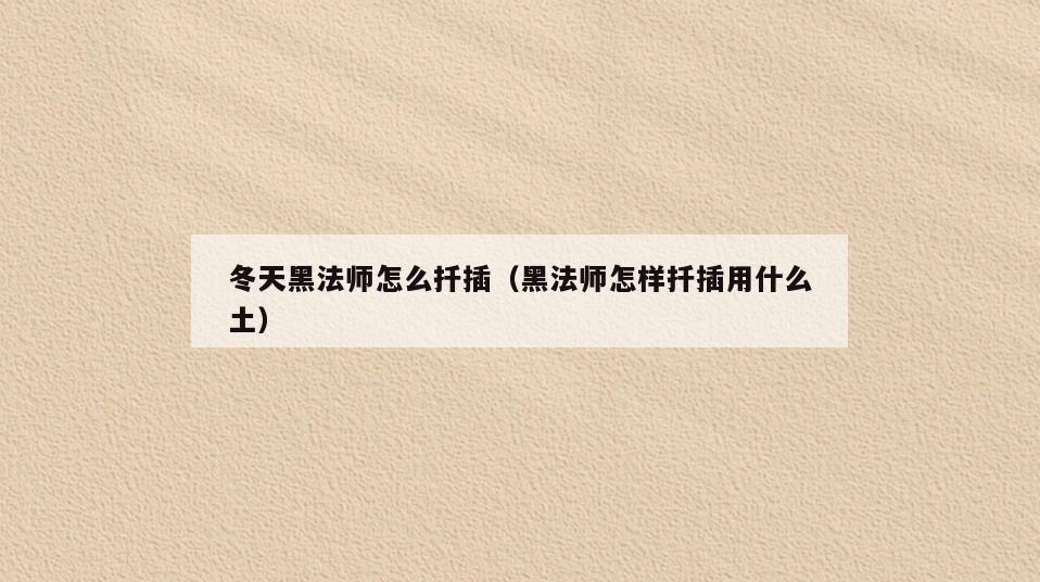 冬天黑法师怎么扦插(黑法师怎样扦插用什么土)