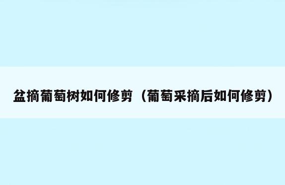 盆摘葡萄树如何修剪(葡萄采摘后如何修剪)