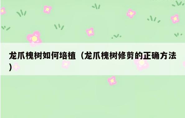 龙爪槐树如何培植(龙爪槐树修剪的正确方法)