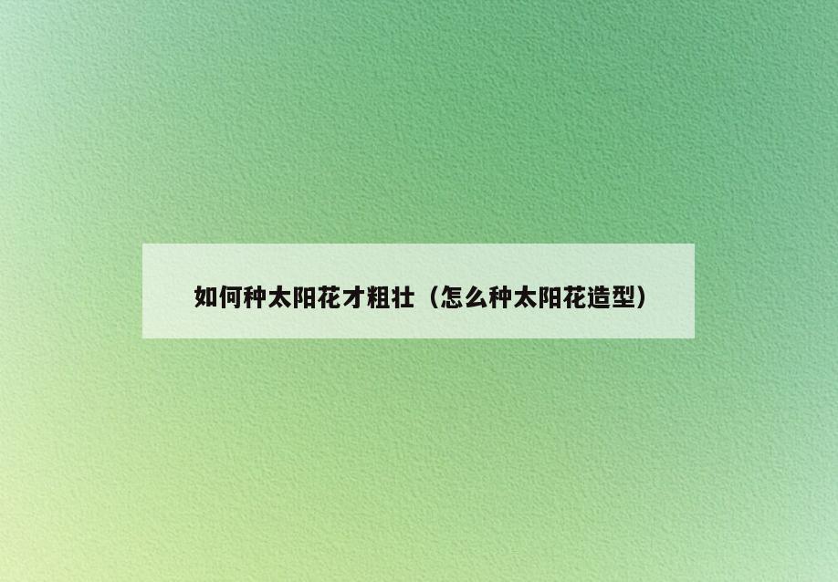 如何种太阳花才粗壮(怎么种太阳花造型)