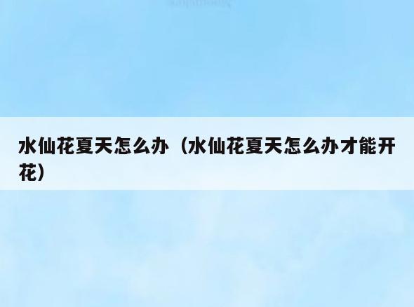 水仙花夏天怎么办(水仙花夏天怎么办才能开花)