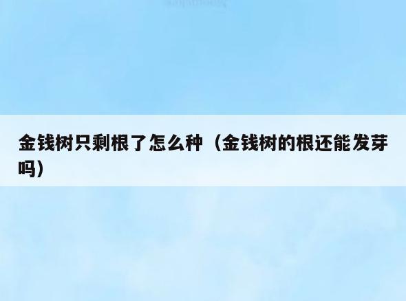 金钱树只剩根了怎么种(金钱树的根还能发芽吗)
