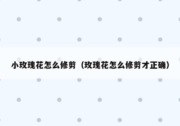 小玫瑰花怎么修剪(玫瑰花怎么修剪才正确)