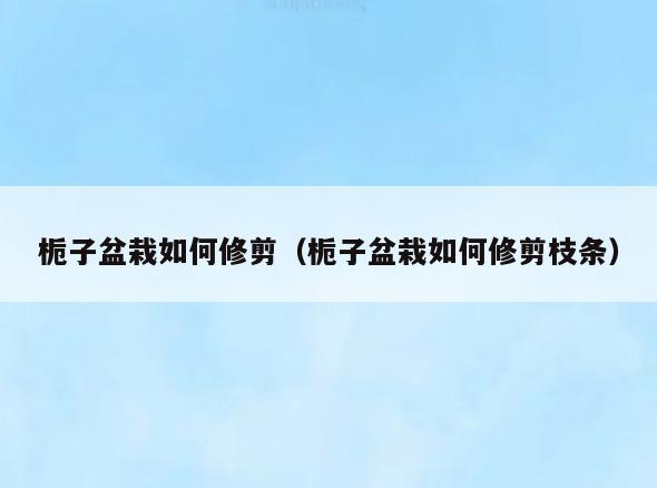栀子盆栽如何修剪(栀子盆栽如何修剪枝条)