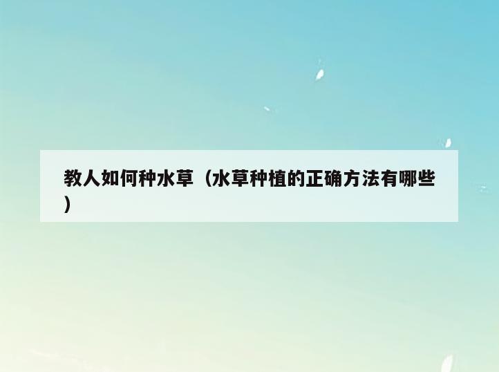 教人如何种水草(水草种植的正确方法有哪些)