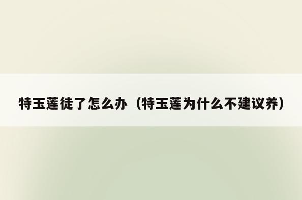 特玉莲徒了怎么办(特玉莲为什么不建议养)