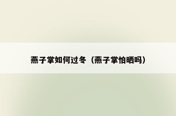 燕子掌如何过冬(燕子掌怕晒吗)