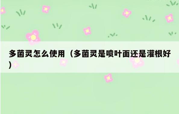 多菌灵怎么使用(多菌灵是喷叶面还是灌根好)