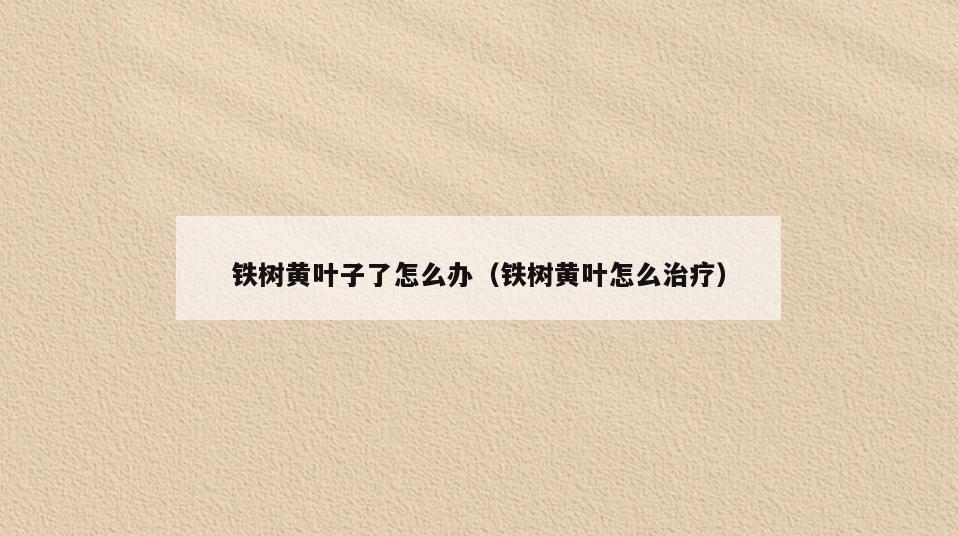 铁树黄叶子了怎么办(铁树黄叶怎么治疗)