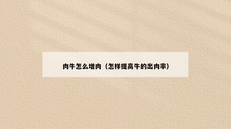 肉牛怎么增肉(怎样提高牛的出肉率)