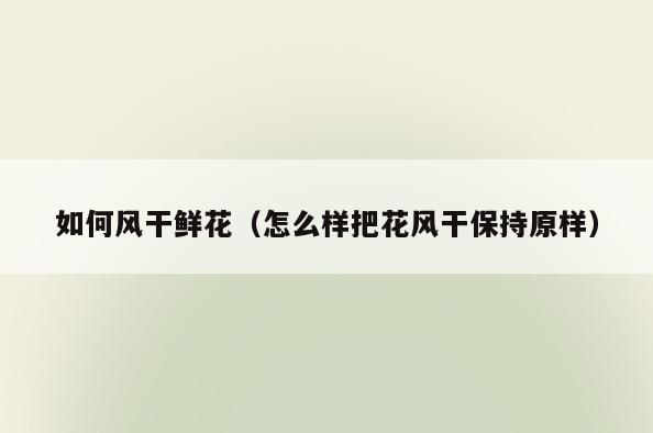 如何风干鲜花(怎么样把花风干保持原样)
