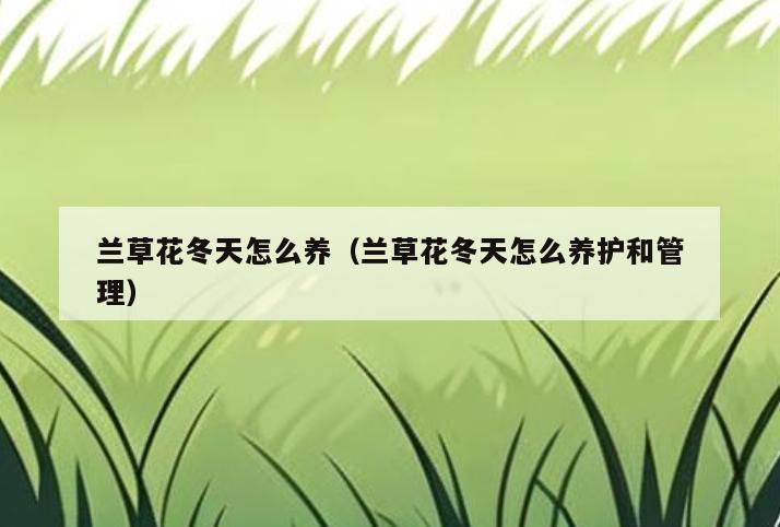 兰草花冬天怎么养(兰草花冬天怎么养护和管理)