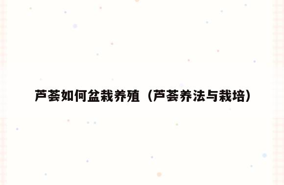 芦荟如何盆栽养殖(芦荟养法与栽培)