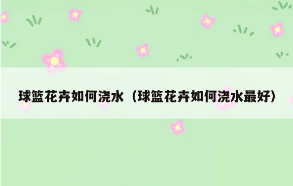 球篮花卉如何浇水(球篮花卉如何浇水最好)