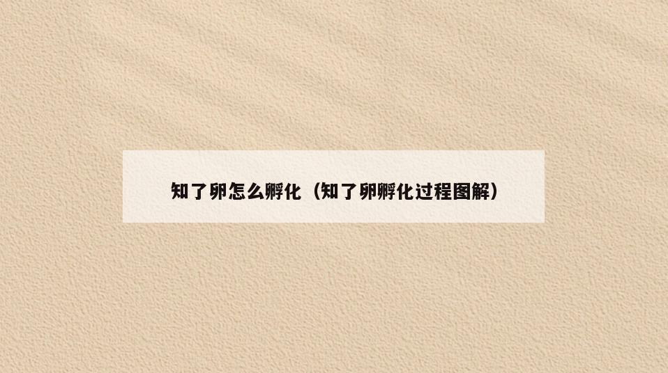知了卵怎么孵化(知了卵孵化过程图解)