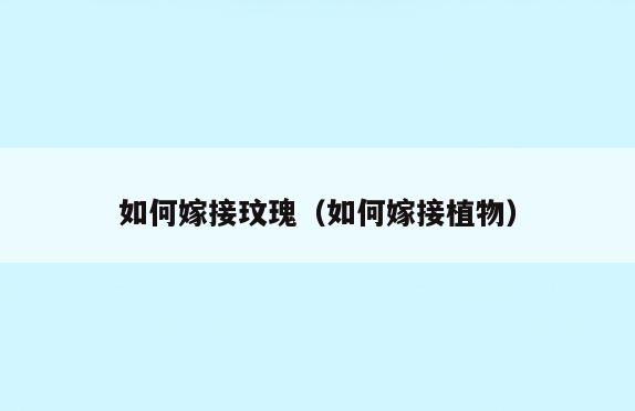 如何嫁接玟瑰(如何嫁接植物)