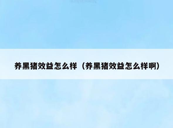 养黑猪效益怎么样(养黑猪效益怎么样啊)