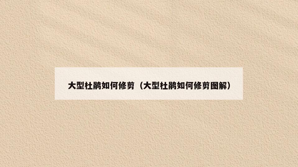 大型杜鹃如何修剪(大型杜鹃如何修剪图解)