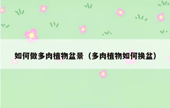 如何做多肉植物盆景(多肉植物如何换盆)