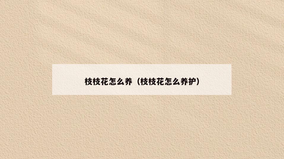 枝枝花怎么养(枝枝花怎么养护)