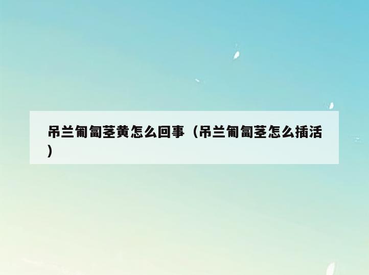 吊兰匍匐茎黄怎么回事(吊兰匍匐茎怎么插活)
